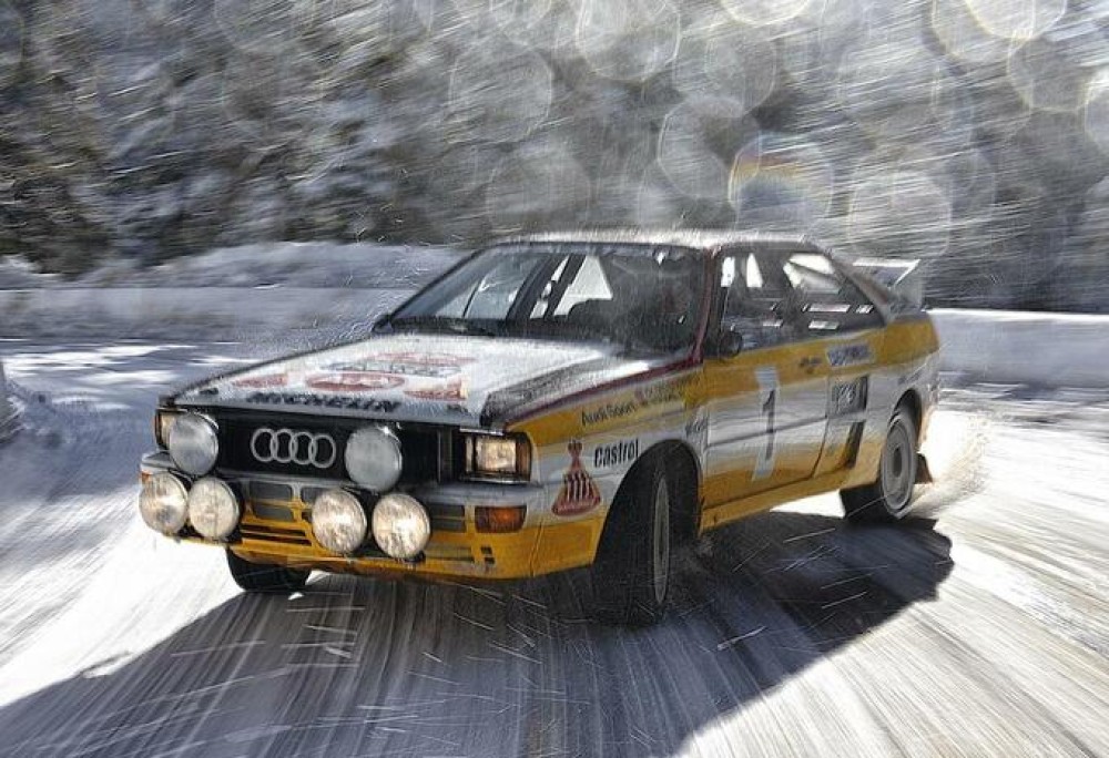 1980 Audi Quattro - Colors of Speed