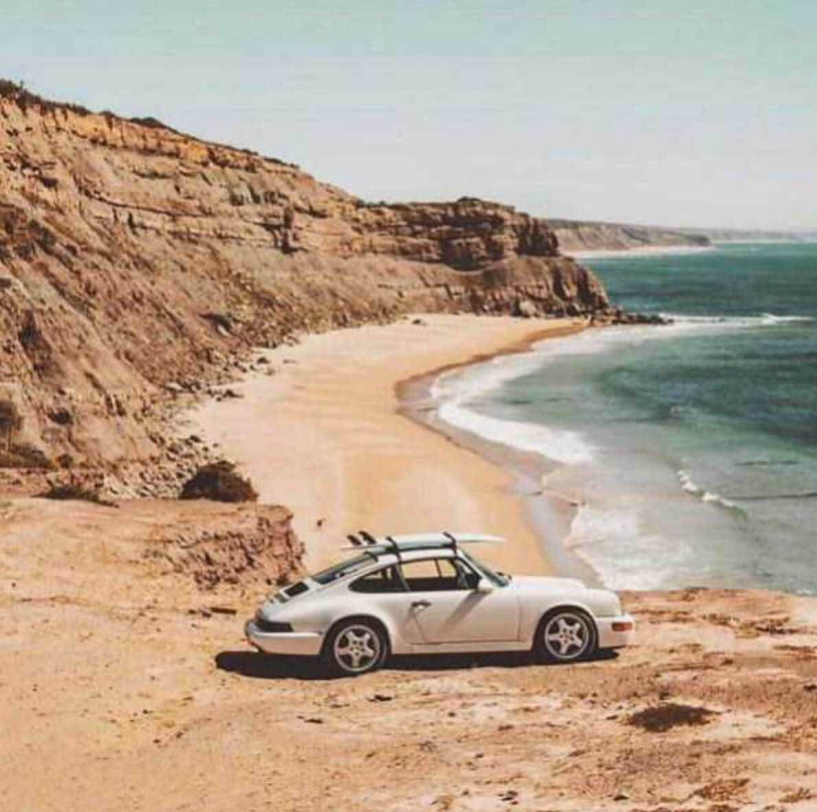 Every order plants one new tree. - Colors of Speed