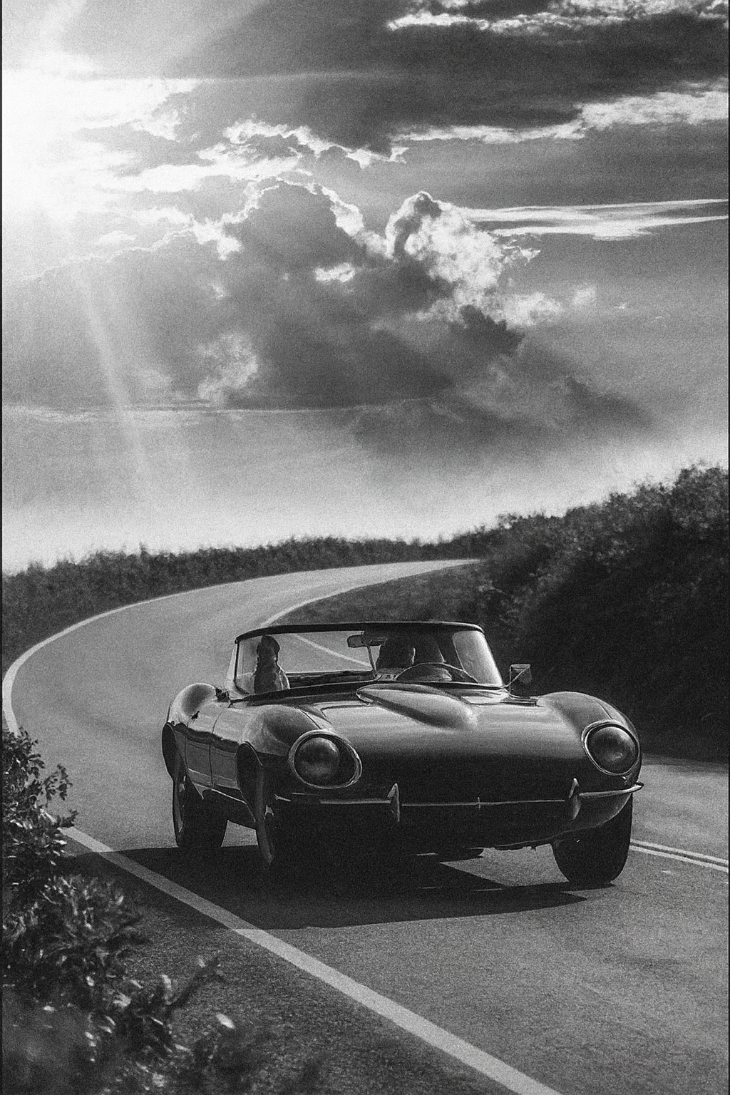 Every order plants one new tree. - Colors of Speed