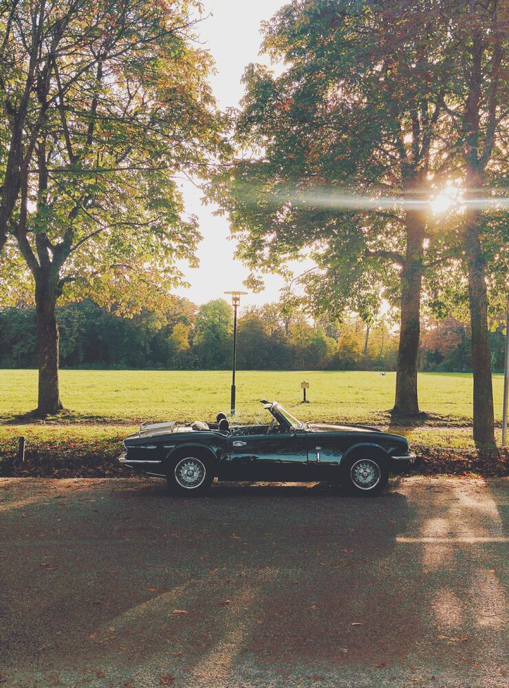 Every order plants one new tree. - Colors of Speed